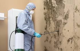 Reliable Batavia, NY Mold Prevention & Removal  Solutions